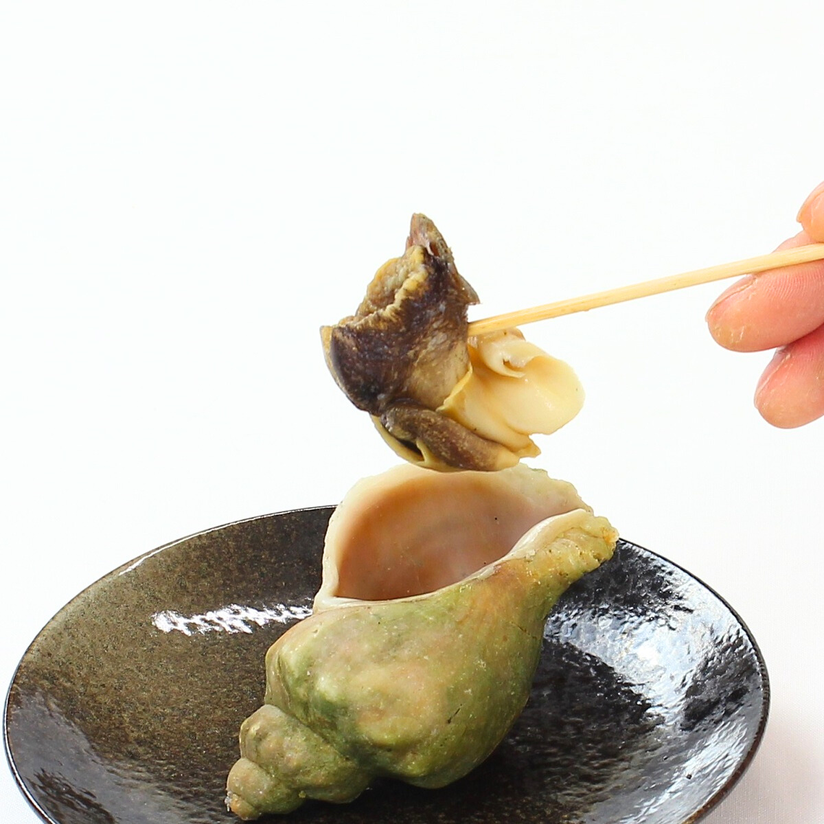 北海道産冷凍ボイル青つぶ貝1㎏（10～15玉）｜一印おさかな市場の通販